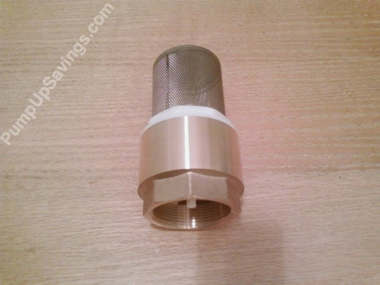 2 inch brass foot valve with screen