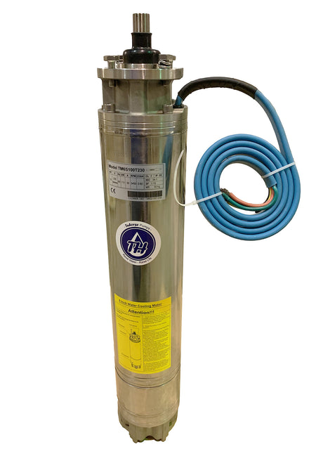Tuhorse 6" deep well pump motor replacement